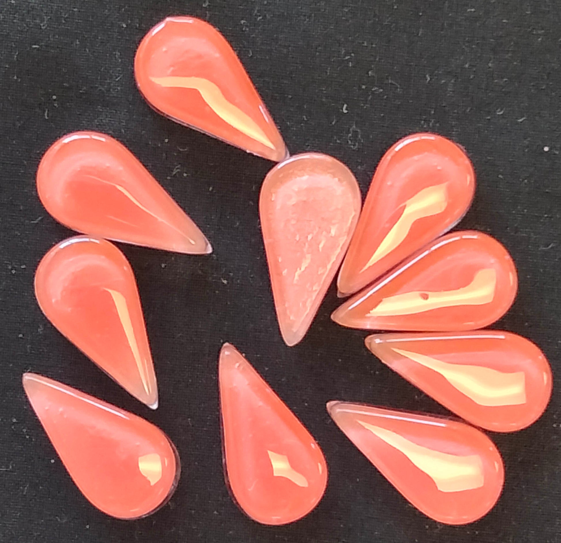 coral  petal, vitro fusion, Divina Semilla