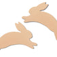 2 Rabbits (pre-drilled for hangable and stakeable kit) 1/4"