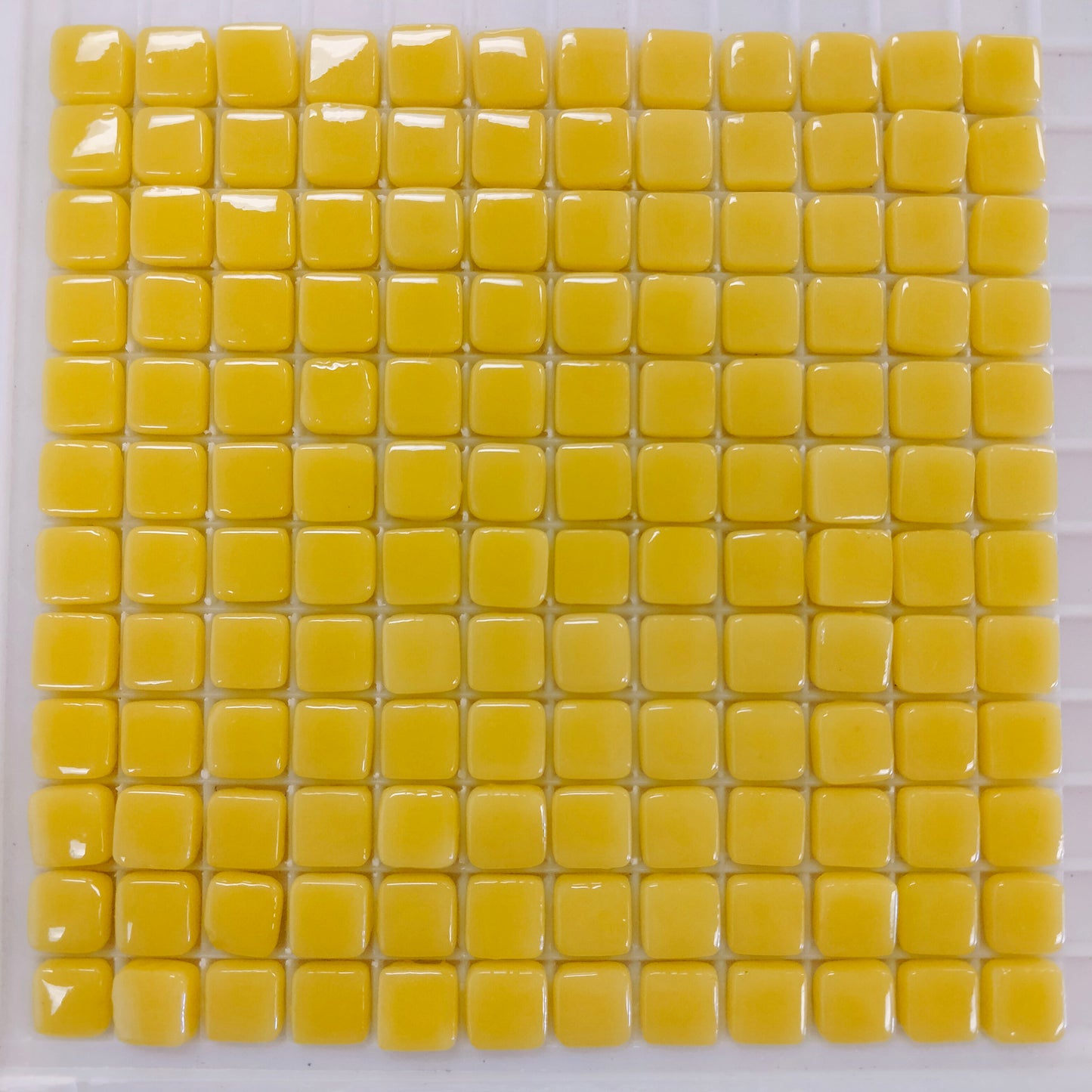 30-g Sweet Corn Sheeted Tile