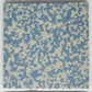 Blue Mottle Porcelain Square Foot 50x50