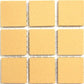 Cognac Porcelain 20x20 Square Foot