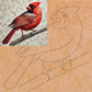 Cardinal with Pattern 14" x 14"  (pre-drilled for hanging kit)