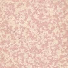 Rose Mottle Porcelain 50x50